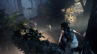 скриншот Shadow of the Tomb Raider 2