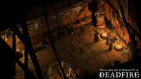 скриншот Pillars of Eternity II: Deadfire 1