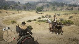 скриншот Red Dead Redemption 2 5